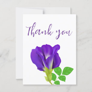 Purple Bloom Floral Postcard