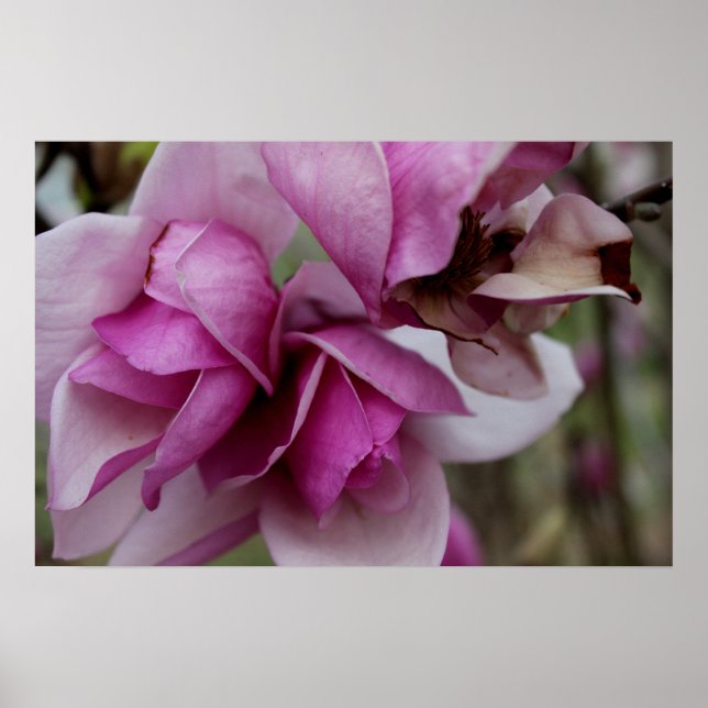 Purple Blooms Poster (Front)