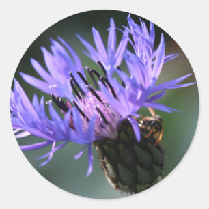 Purple Blue Cornflower Wedding Gift Sticker