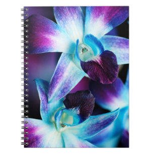 Purple & Blue Dendrobium Orchid Customised Orchids Notebook