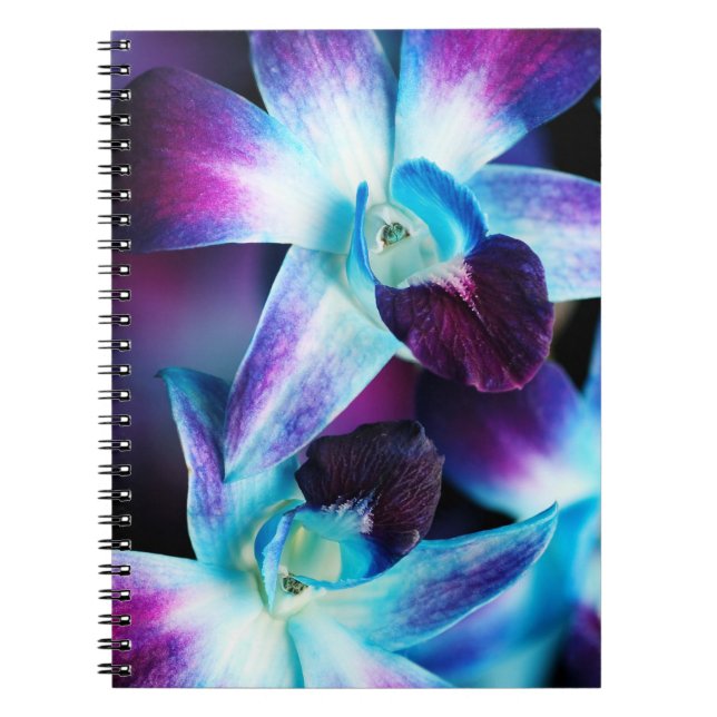 Purple & Blue Dendrobium Orchid Customised Orchids Notebook (Front)