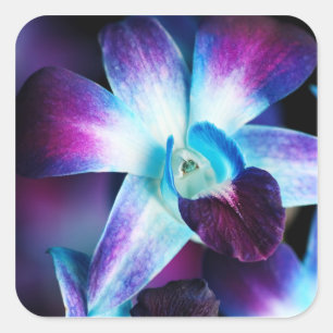 Purple & Blue Dendrobium Orchid Customised Orchids Square Sticker