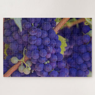 Purple Blue Grape Bunches on the Vine Jigsaw Puzzle