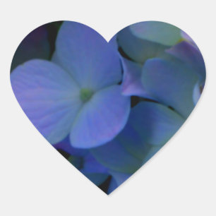 Purple blue hydrangeas flower floral heart sticker