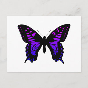 Purple Blue Ombre Wing Butterfly Postcard