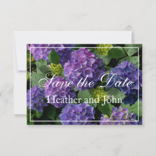 Purple blue periwinkle  hydrangeas save the date