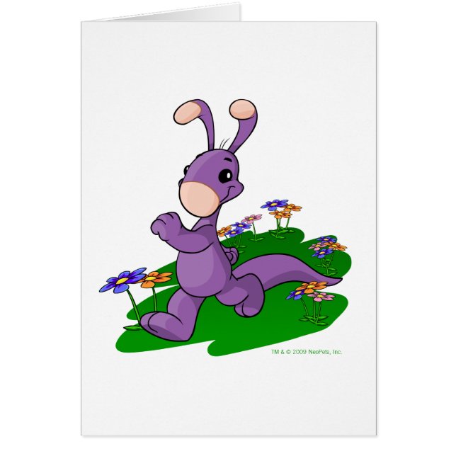 Purple Blumaroo marching through Roo Island (Front)