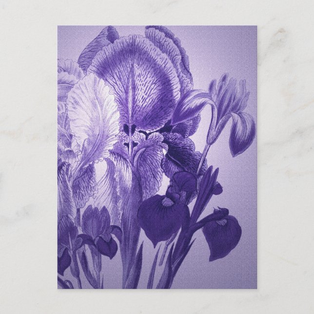 Purple Botanical Postcard (Front)