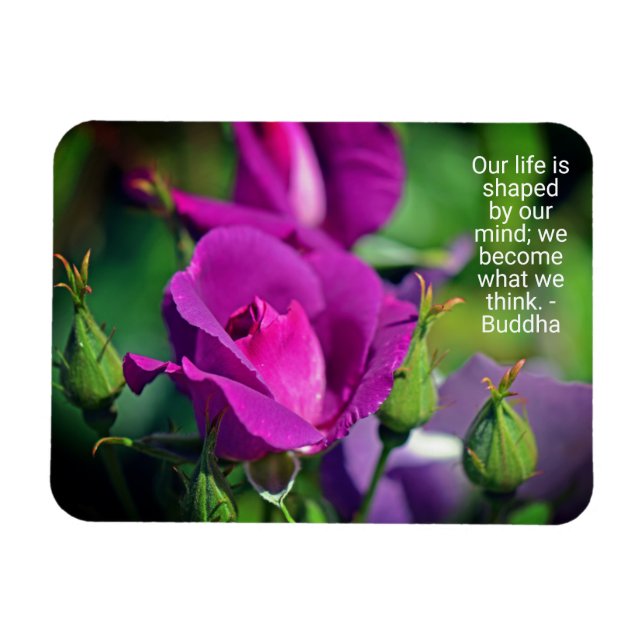 Purple Budding Rose Motivational Quote Magnet (Horizontal)
