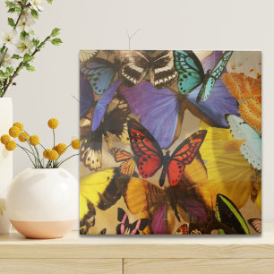 purple burgundy orange colorful tropical butterfly ceramic tile