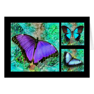 Purple Butterflies