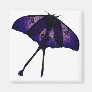 Purple Butterfly Drawing Photograph Sketch Magnet