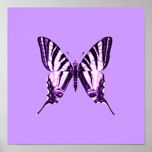 Purple Butterfly Poster