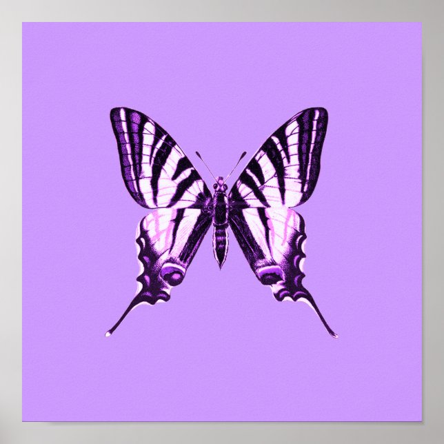 Purple Butterfly Poster (Front)