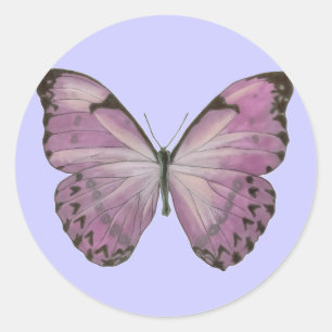 Purple Butterfly Sticker
