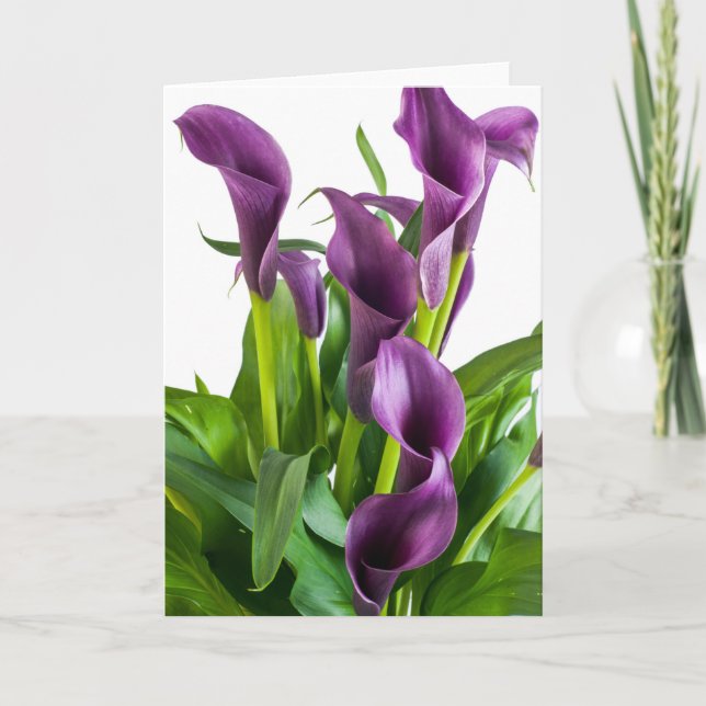 Purple Calla Lily Card (Front)