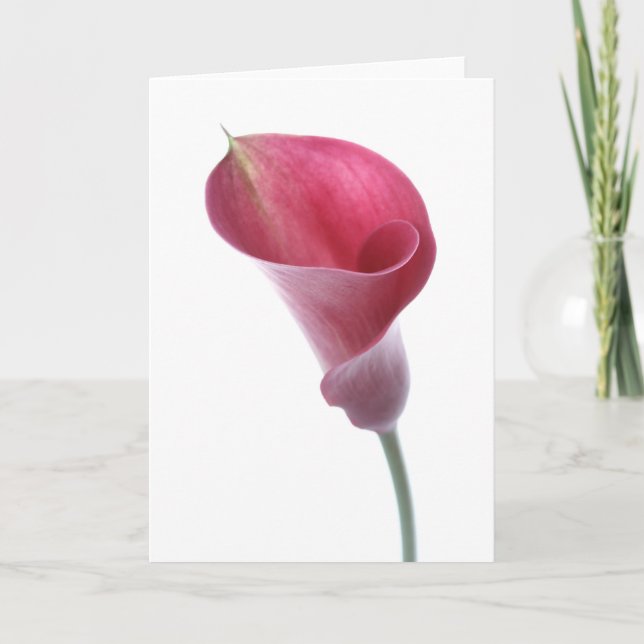 Purple Calla Lily Card (Front)