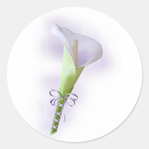 Purple Calla Lily Classic Round Sticker