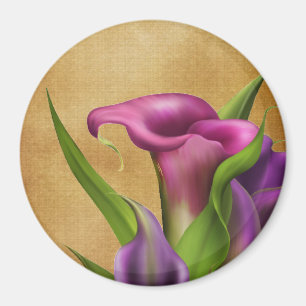 Purple Callas Magnet