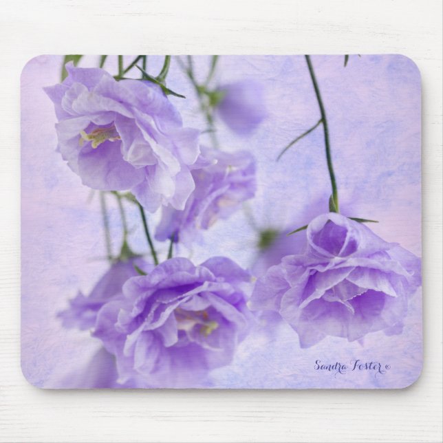 Purple Campanella Flowers Macro Mouse Pad (Front)