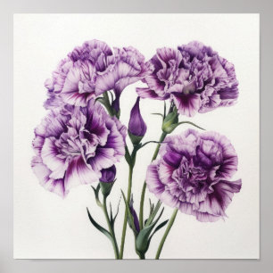 Purple Carnations Flower Art Print Poster