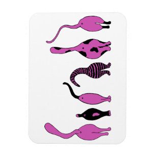 Purple Cat Butts Magnet