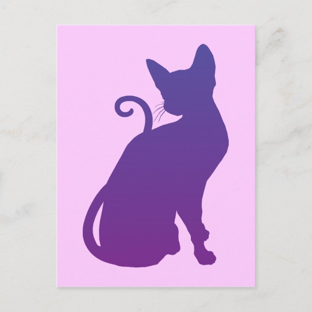 Purple Cat Postcard (Front)