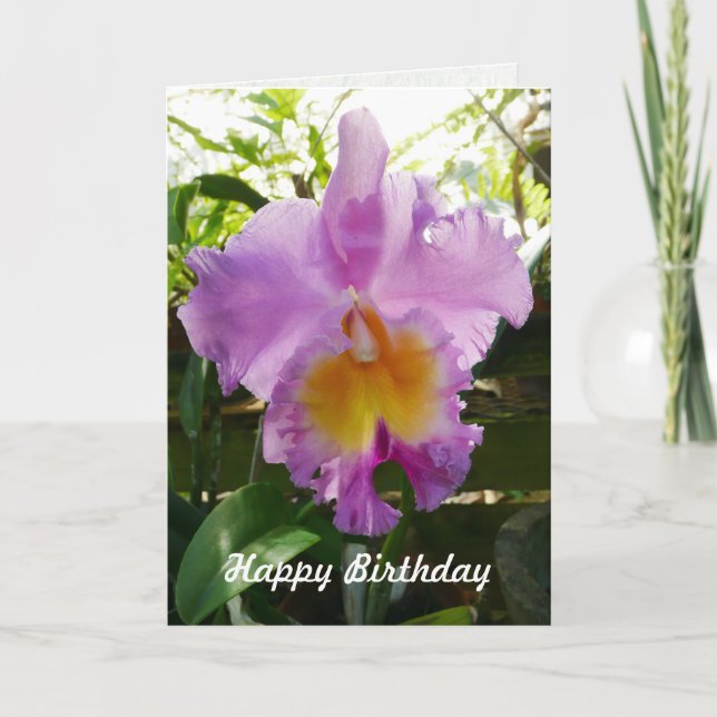 Purple Cattleya Orchid Tropical Flower Template (Front)