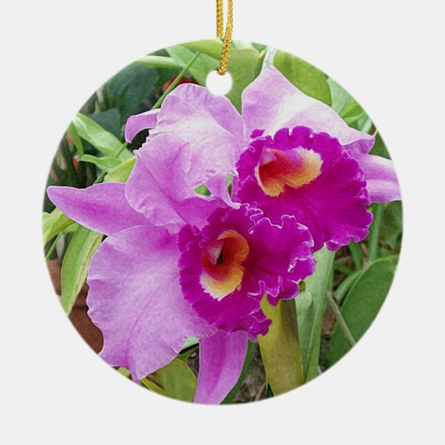 Purple Cattleya Orchids Ceramic Ornament (Front)
