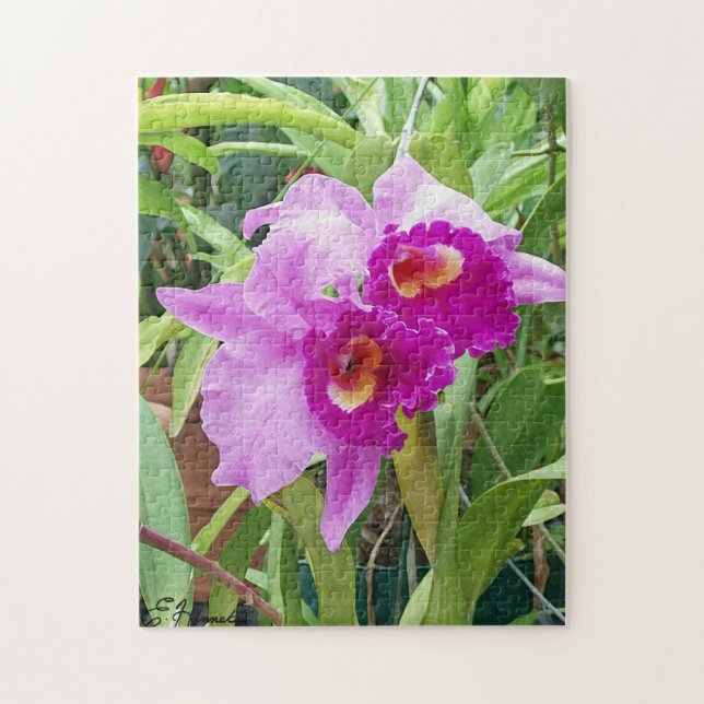 Purple Cattleya Orchids Jigsaw Puzzle (Vertical)