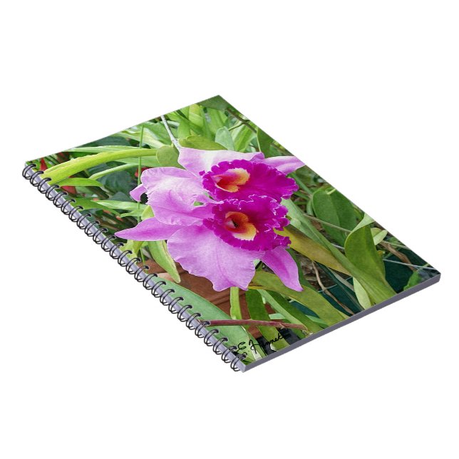 Purple Cattleya Orchids Notebook (Right Side)