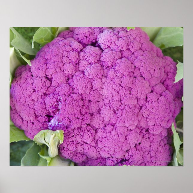 Purple cauliflower for sale poster (Front)