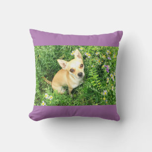 Purple chihuahua throw pillow. cushion