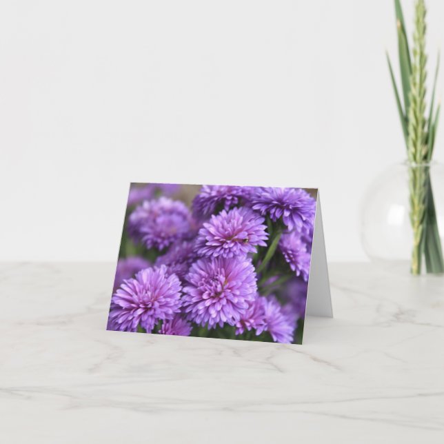 Purple Chinese Aster Bloom Holiday Card (Front)