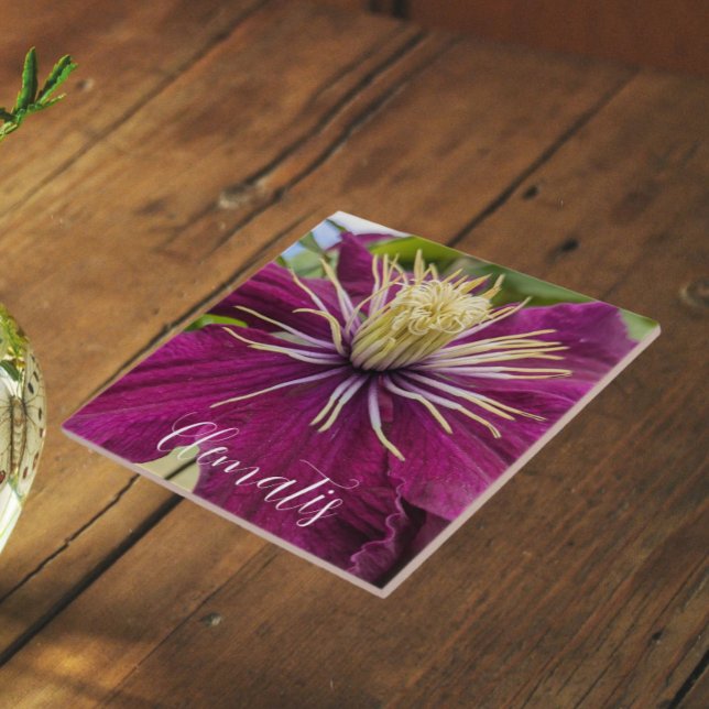 Purple Clematis Bloom Floral Ceramic Tile (In Situ)