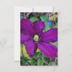 Purple Clematis Flower Card