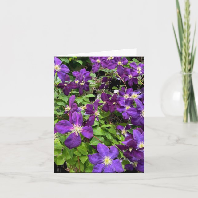 Purple Clematis Flowers And Leaves Photograph Card (Front)