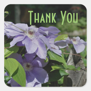 Purple Clematis Flowers Thank You Sticker
