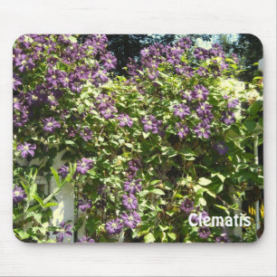 Purple Clematis Garden Mouse Pad