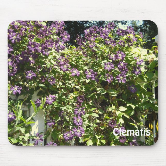 Purple Clematis Garden Mouse Pad (Front)