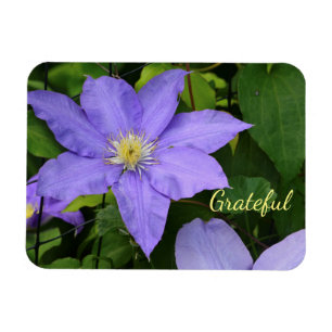 Purple Clematis Gratitude Magnet