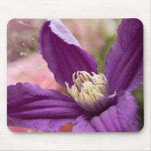 "Purple Clematis Macro – Elegant Floral Mouse Pad"