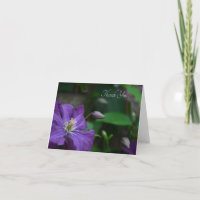 Purple Clematis