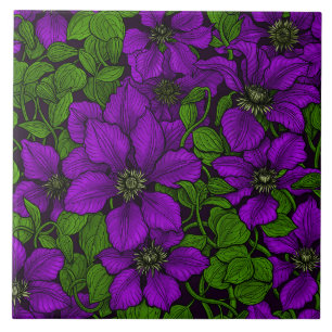 Purple Clematis vine Ceramic Tile