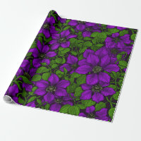 Purple Clematis vine