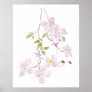 purple clematis watercolor  poster