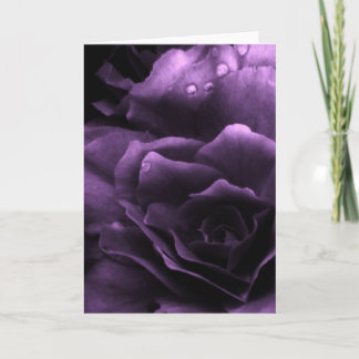 Purple Close Up of a Double Begonia Card