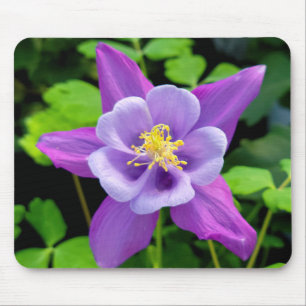 Purple Columbine Flower Mouse Pad