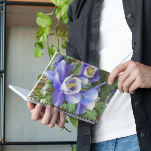 Purple Columbine Flowers Floral Notebook