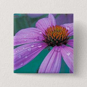 Purple Cone flower with water drops 15 Cm Square Badge